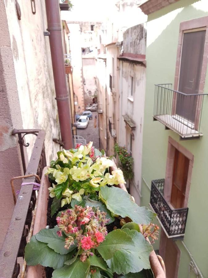 Vacanze Le Rose *